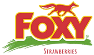 LOGOS_FRUTAS_Y_VERDURAS_ITZME3-removebg-preview